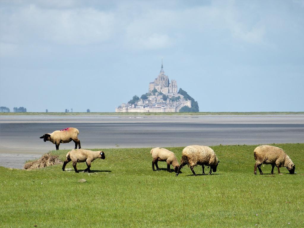 Le Diamant Le Minihic-sur-Rance Exterior foto
